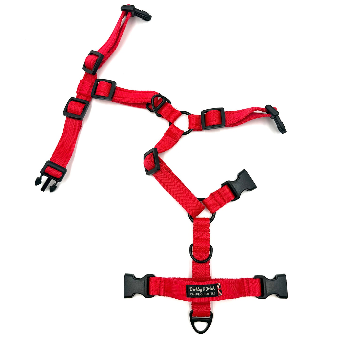 Essential Cushion Webbing Dog Harness