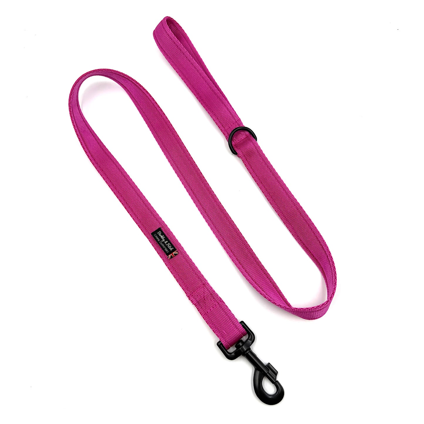 Essential Cushion Webbing Dog Lead