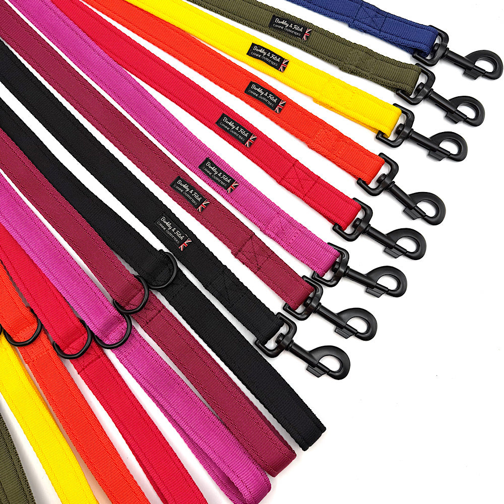 Essential Cushion Webbing Dog Lead