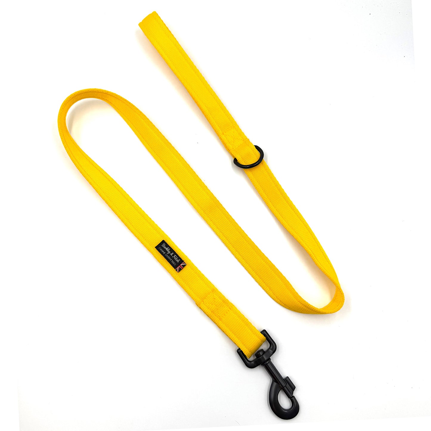Essential Cushion Webbing Dog Lead