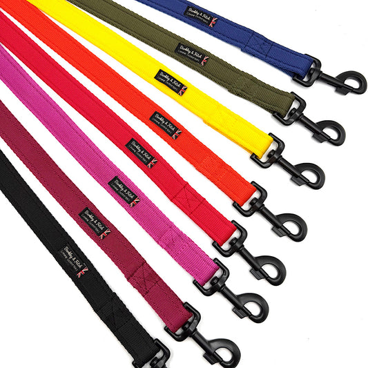 Essential Cushion Webbing Dog Lead
