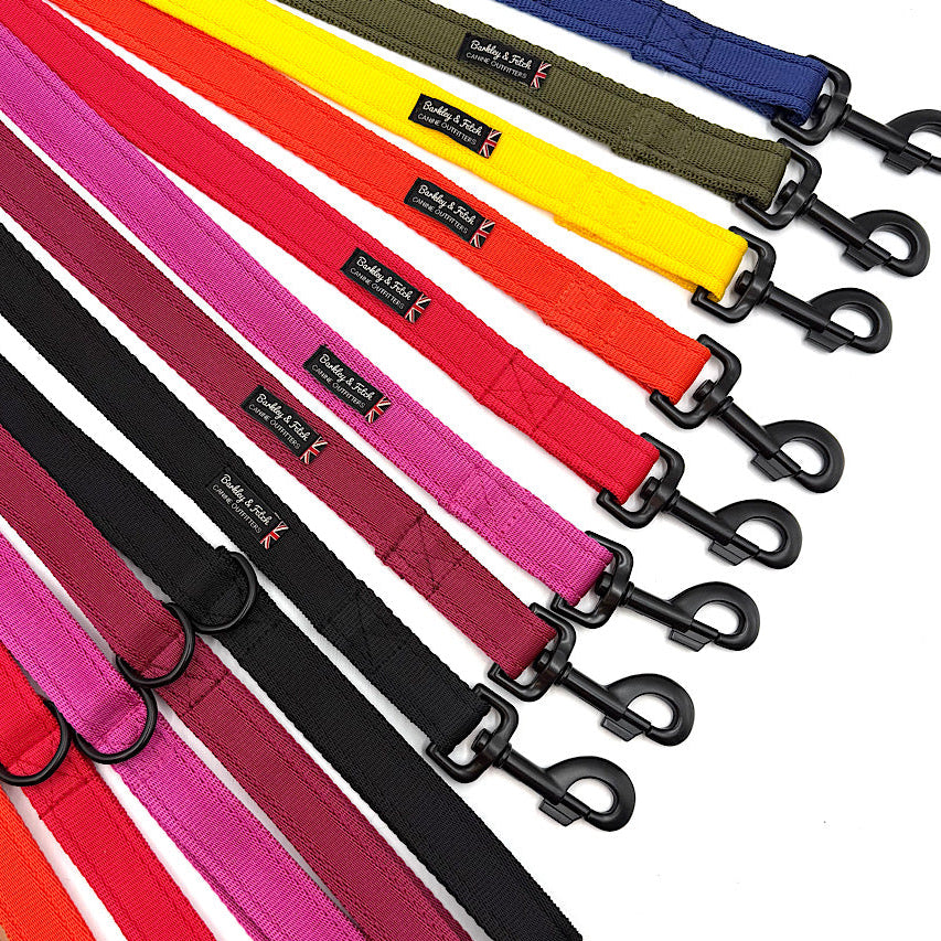 Set of colorful dog leashes with black clips on a white background