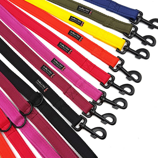 Set of colorful dog leashes with black clips on a white background