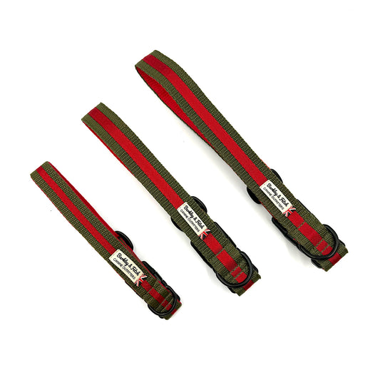 Three green and red dog collars on a white background