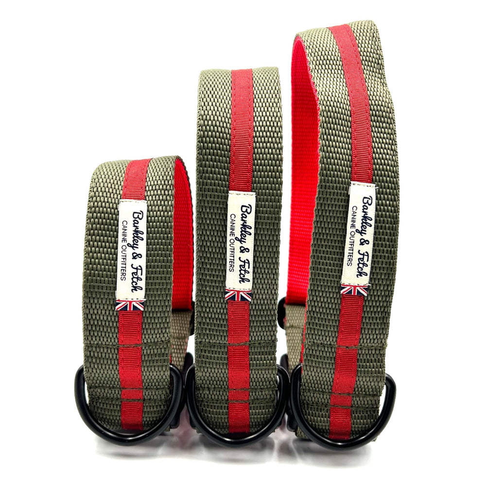 Three dog collars with red straps and visible branding on a white background