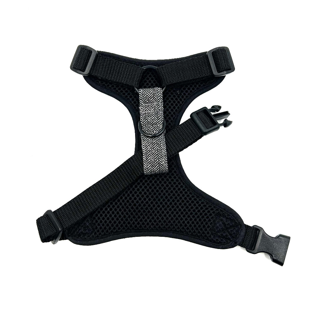 Black dog harness on a white background