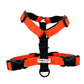 Colour Block Webbing Harness