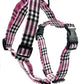 PinkBerry Check Strap Harness