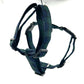 Black Watch Tartan Strap Harness