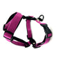 Colour Block Webbing Harness