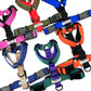 Colour Block Webbing Harness