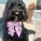 PinkBerry Check Dog Sailor Bow