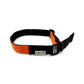 Colour Block Webbing  Martingale Collar