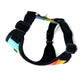 Rainbow Stripe Harness