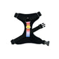 Rainbow Stripe Harness