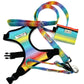 Rainbow Stripe Harness