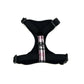PinkBerry Check Cat Harness and Lead