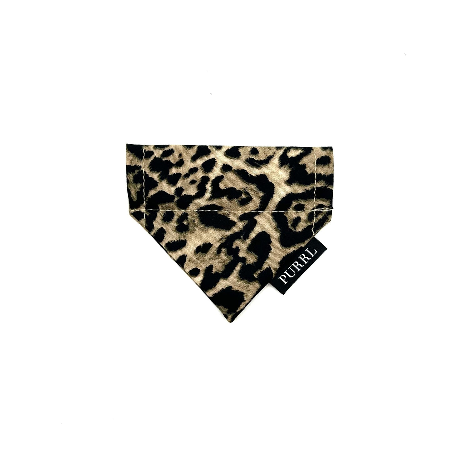 Leopard Print Cat Collar and accessories