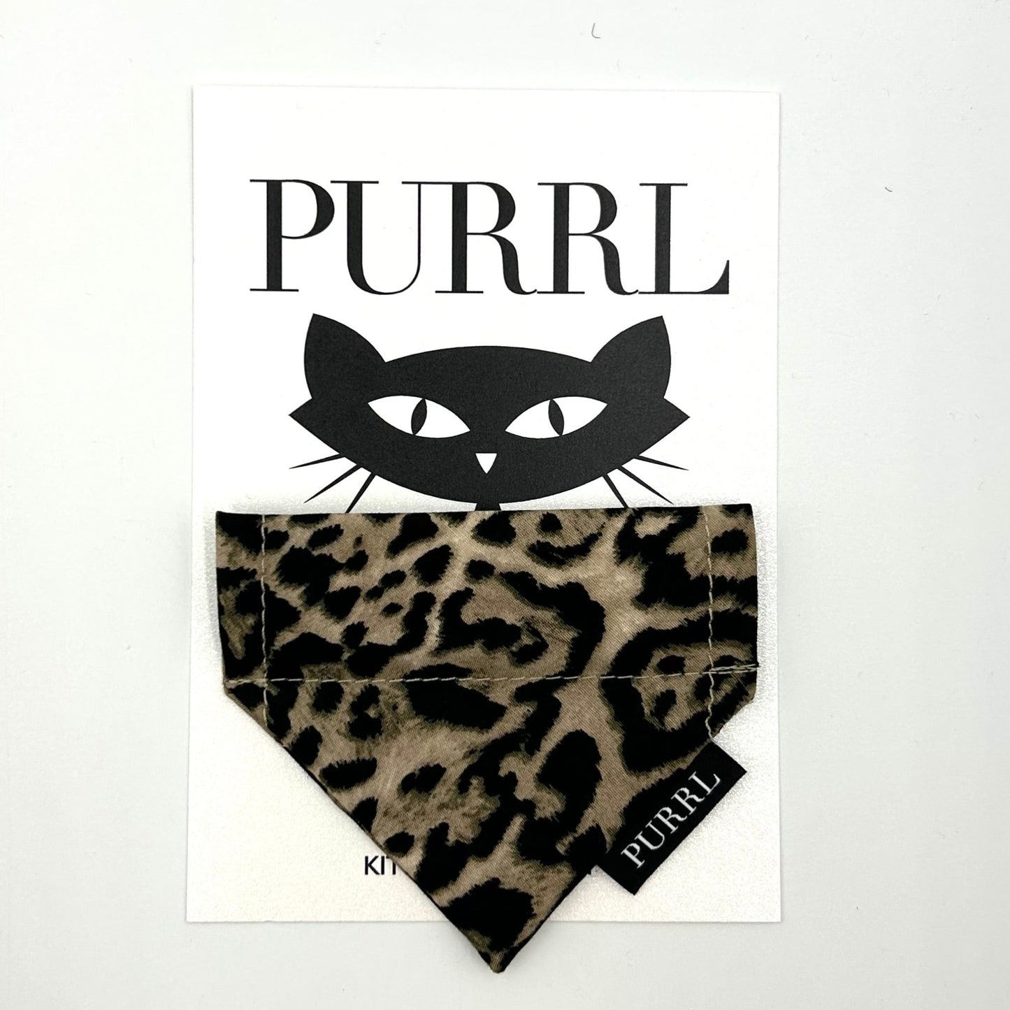 Leopard Print Cat Collar and accessories