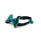 Turquoise/Grey Tartan Cat Collar and accessories