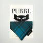 Turquoise/Grey Tartan Cat Collar and accessories