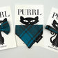 Turquoise/Grey Tartan Cat Collar and accessories
