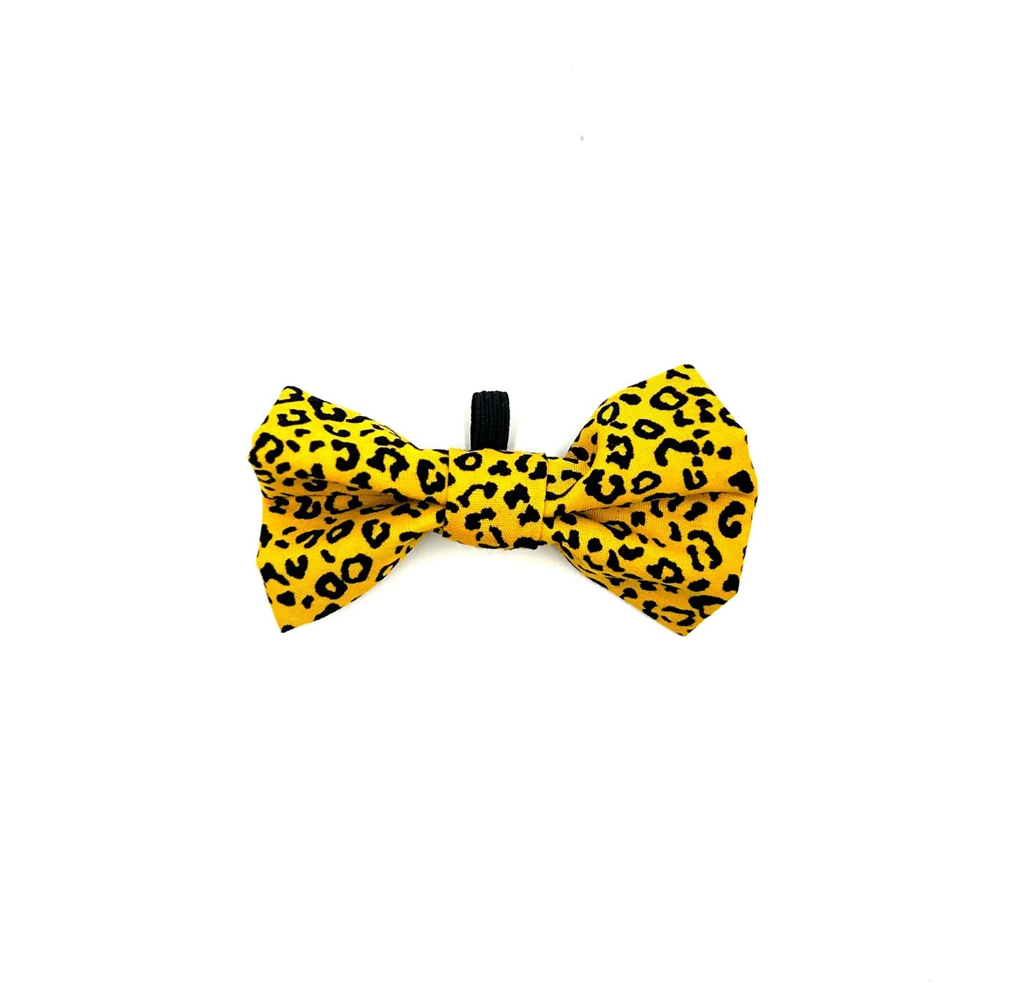 Ochre Leopard Cat Collar and accessories