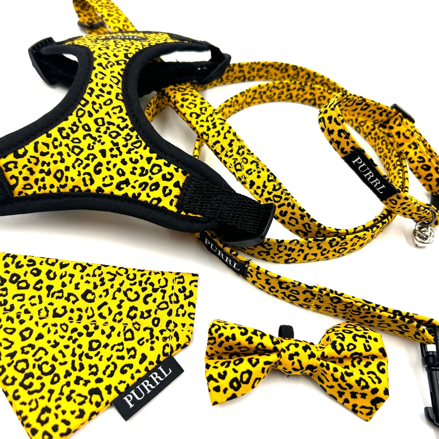 Ochre Leopard Cat Collar and accessories