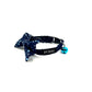 Zodiac Print Cat Collar and accessories