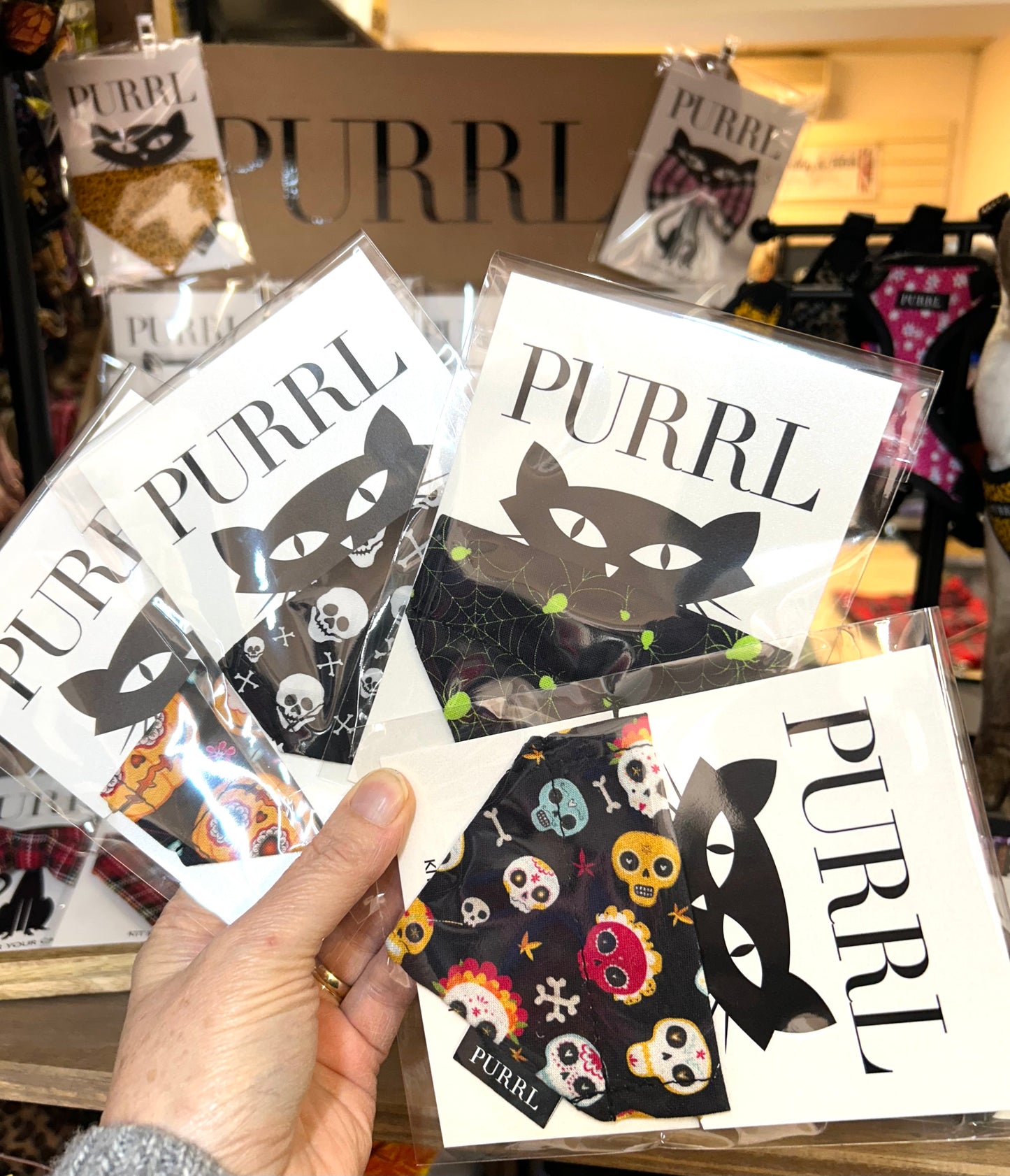Halloween Cat Bandanas