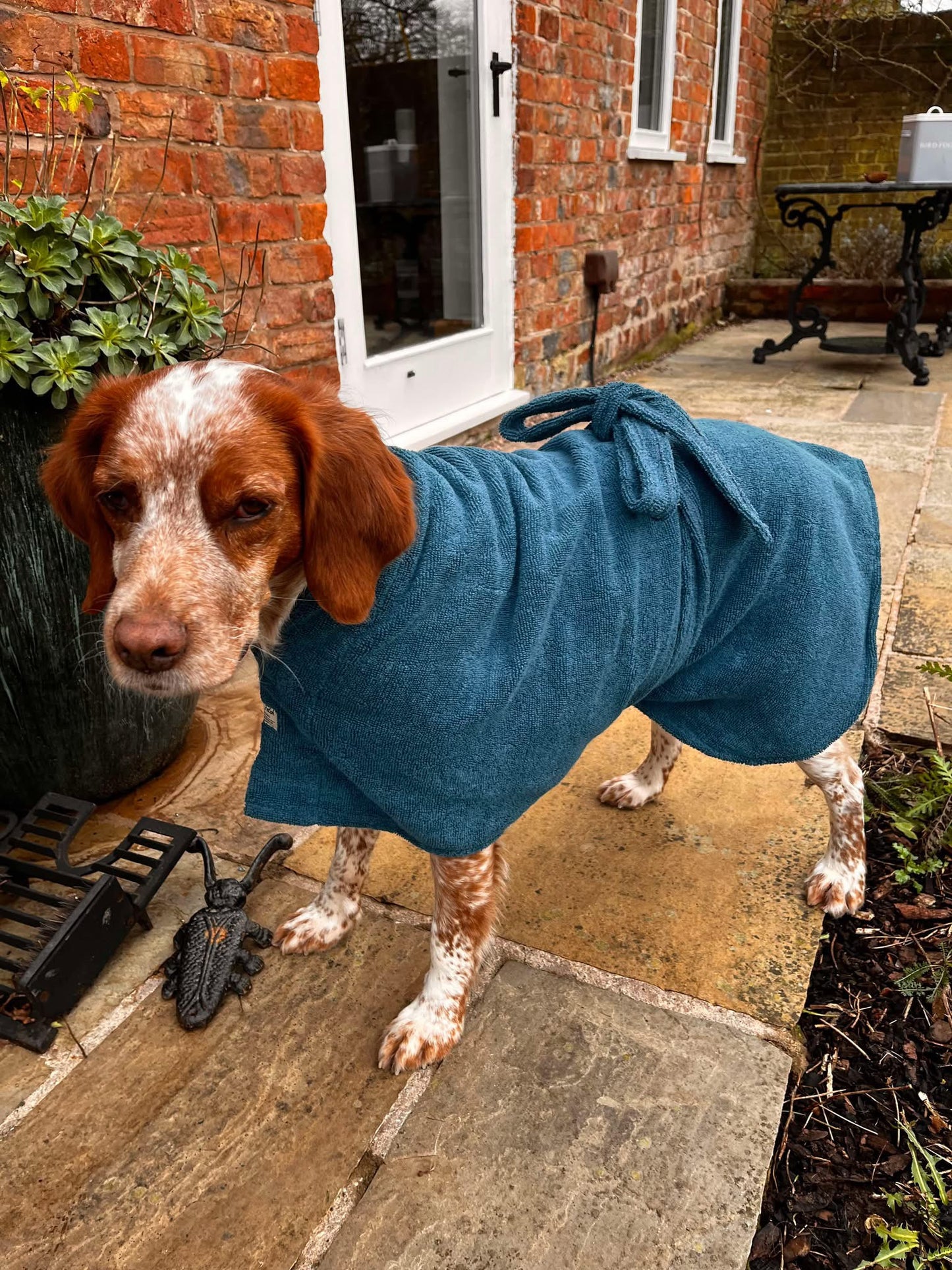 Doggie Bathrobe