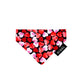 Love Hearts Cat Collar and accessories