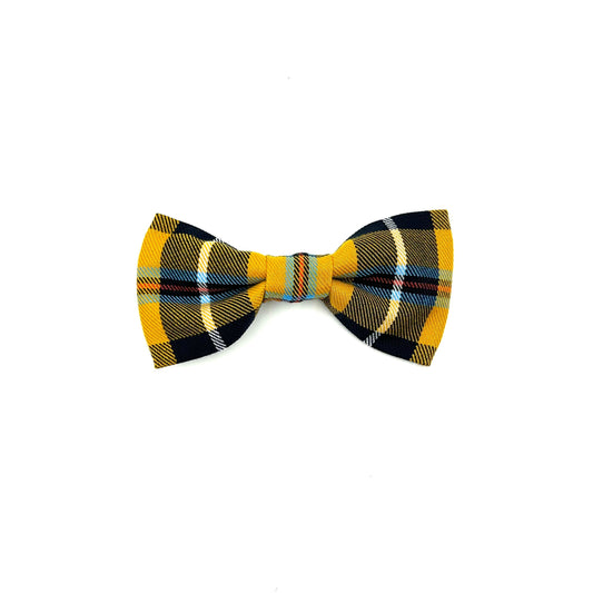 Cornish Tartan Check Dog Bowtie