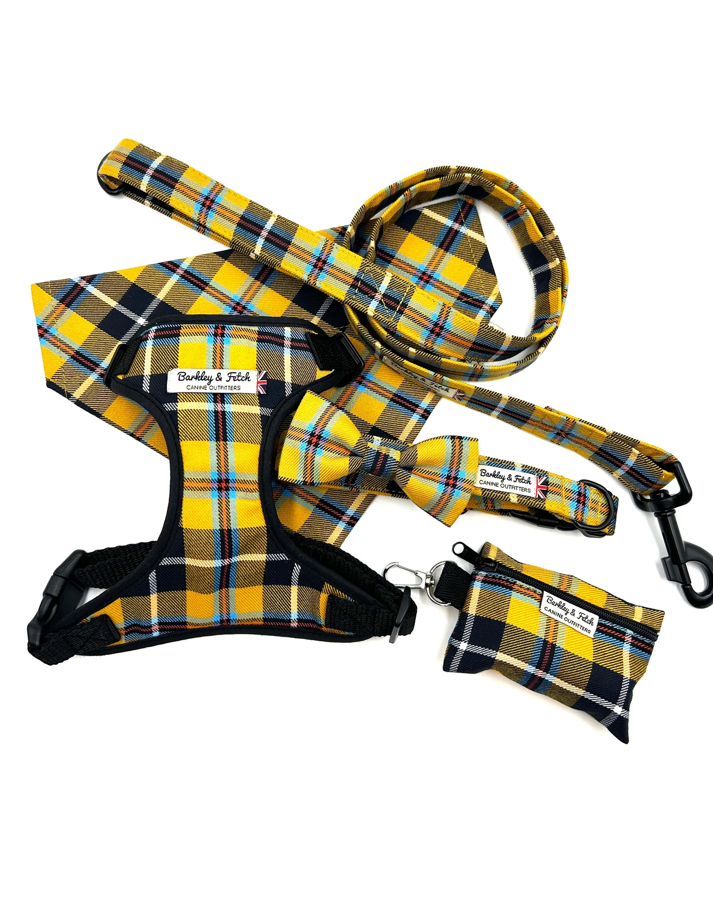 Cornish Tartan Dog Lead