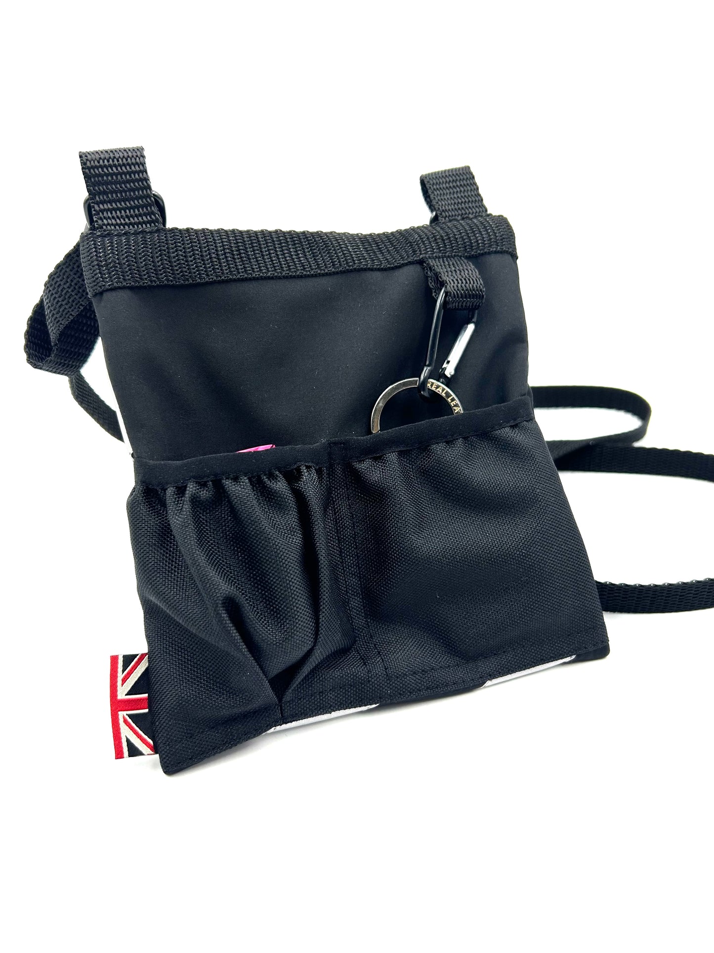 Black Flash Small Dog Walk and Treat Bag