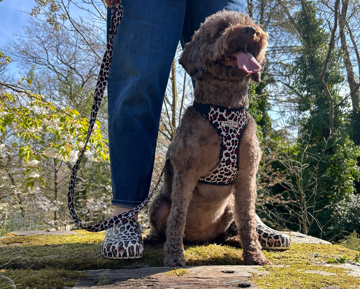 Corduroy Red Leopard Print Fabric Harness