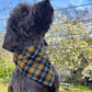 Cornish Tartan Dog Bandana