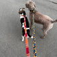 Two dogs on a leash with colorful leashes handmade by Barkley and Fetch standing on a pavement. 