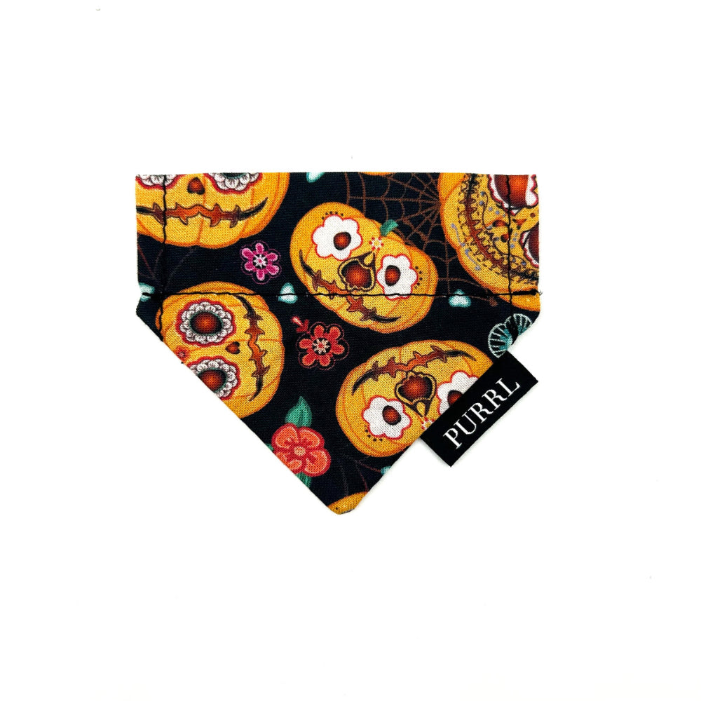 Halloween-themed pet bandana with pumpkins and flowers on a black background, featuring the brand 'PURL'.