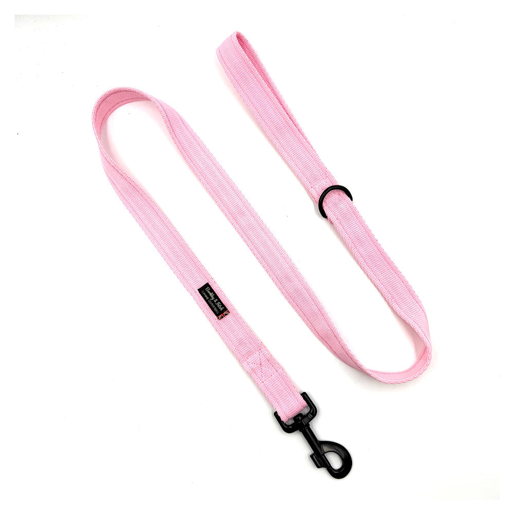 Essential Cushion Webbing Dog Lead