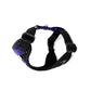 Purple Tartan Dog Harness