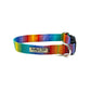 Colourful rainbow stripe print dog collar