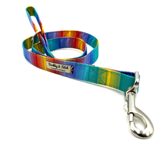 Colourful rainbow stripe print dog lead 