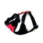 Black dog harness with red and white pattern on a white background