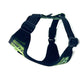 Black dog harness with green pattern on a white background