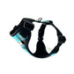 Black dog harness with blue accents on a white background