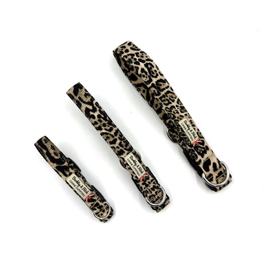 Leopard print dog collars on a white background