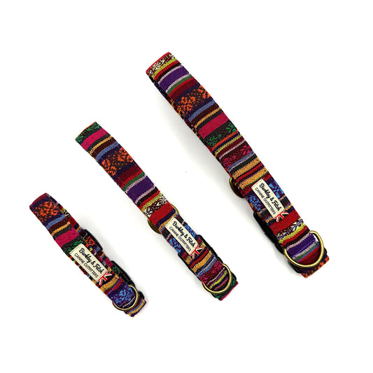 Colourful dog collars on a white background