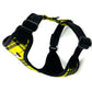Black and yellow checkered dog harness on a white background