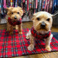 Two small dogs wearing plaid vests on a red checkered blanket with a background of dog collars handmade by Barkley And Fetch